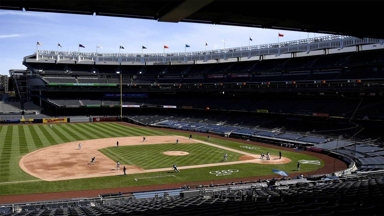 Yankee Stadium Policies and Procedures