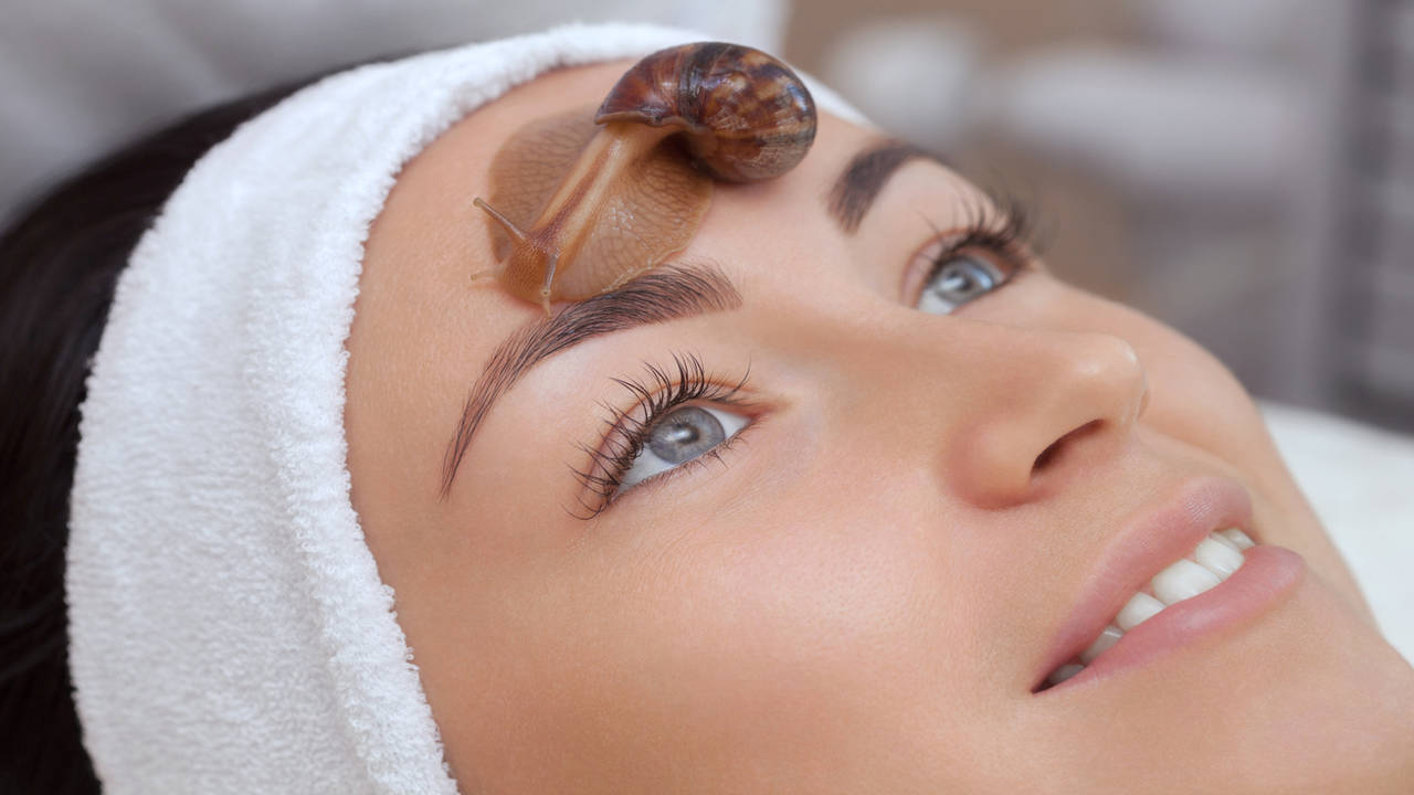 Snail slime is the new anti ageing Korean beauty hack The Times