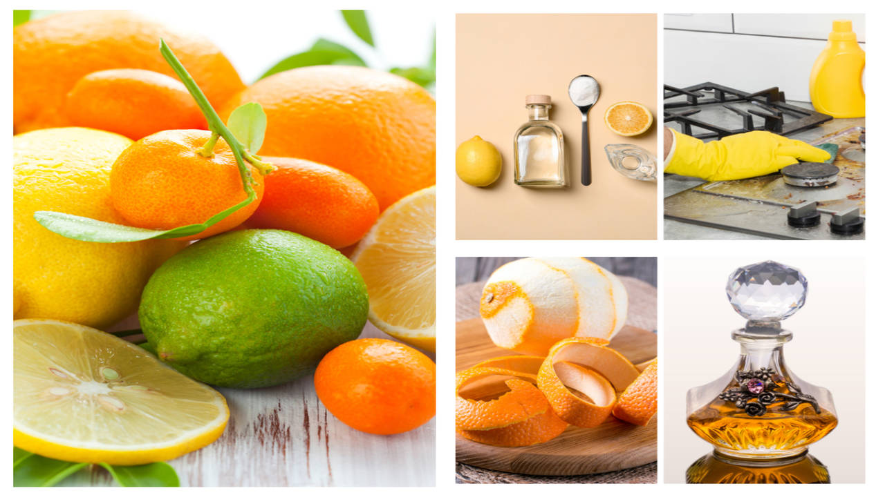 Lemon Orange Peel and Vinegar Cleaner (with Printable Label) - Happy Simple  Living