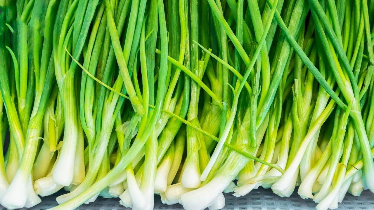 How to Cut Green Onions (Scallions) - Healthy Fitness Meals