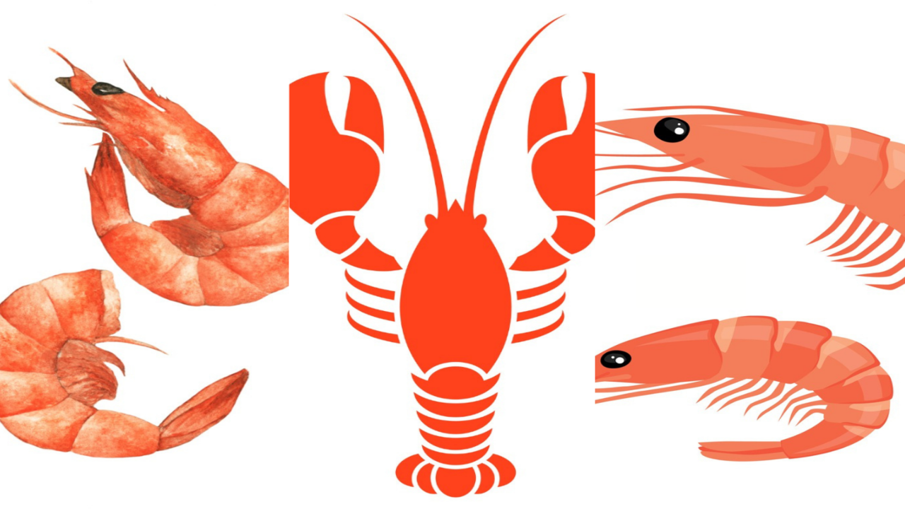 Lobster, Shrimp and Prawns: How are they different