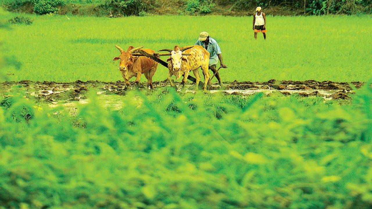 900 ryots to be trained in green farming techniques | Goa News - Times of  India