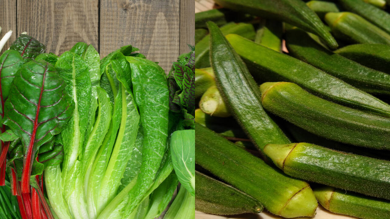 Green Leafy Vegetables Names In Telugu And English Infoupdate