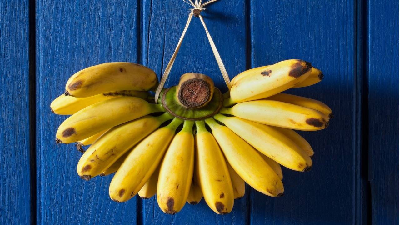 Banana Bunch (Set of 4)