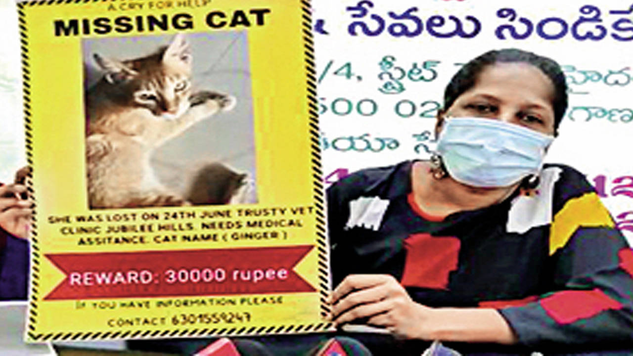 Information about cat in sales telugu