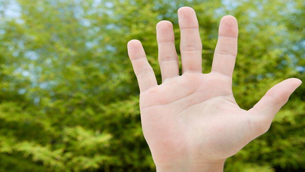Belastingbetaler Bezem dealer What does your finger length reveal about your personality? | The Times of  India
