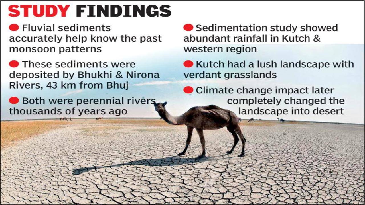 46,000sq km Kutch desert was once a verdant landscape, say geologists |  Rajkot News - Times of India