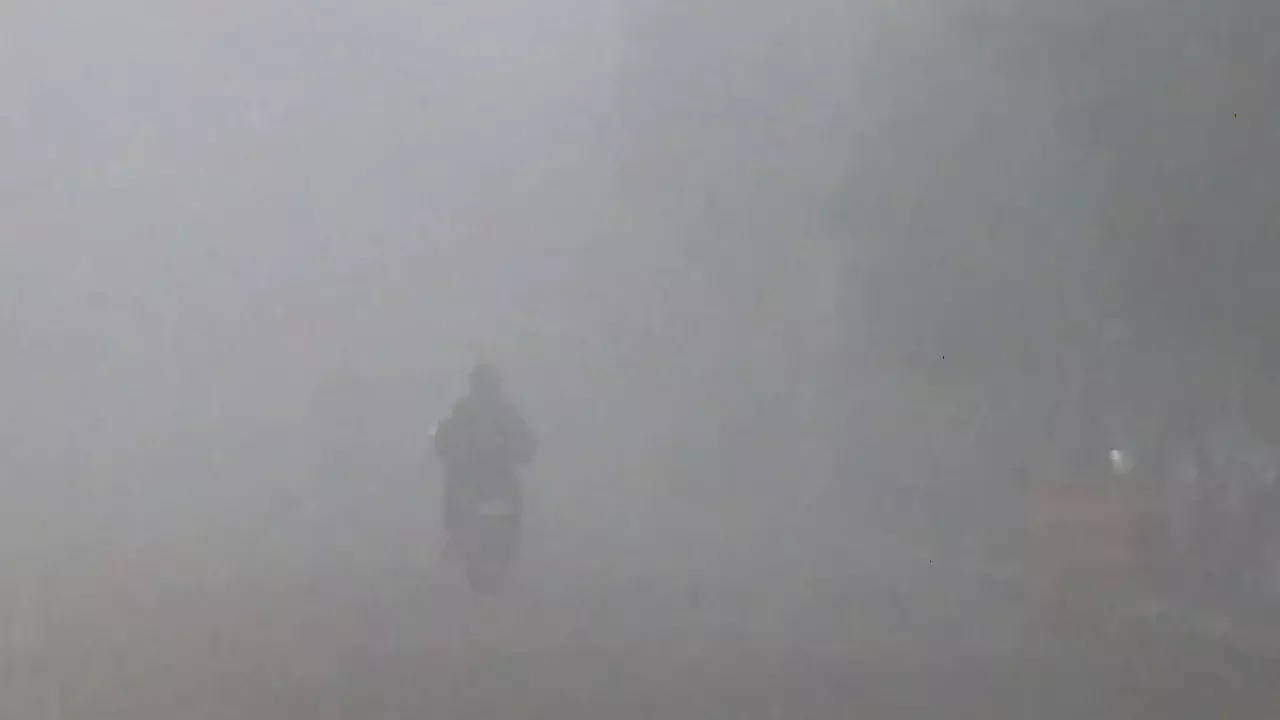 Punjab: Dense fog envelops many cities in Punjab, Haryana | Chandigarh News - Times of India