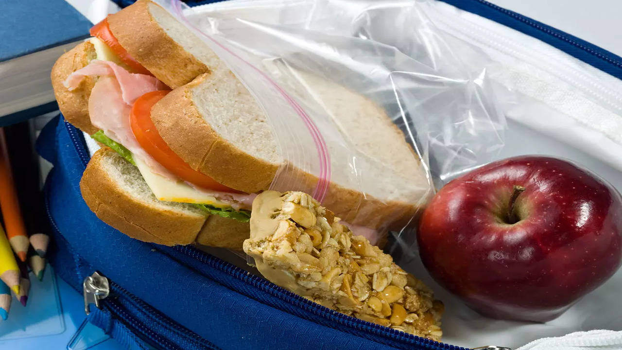 Essential Everyday Sandwich Bags, Double Zipper, Extra Large, Plastic Bags