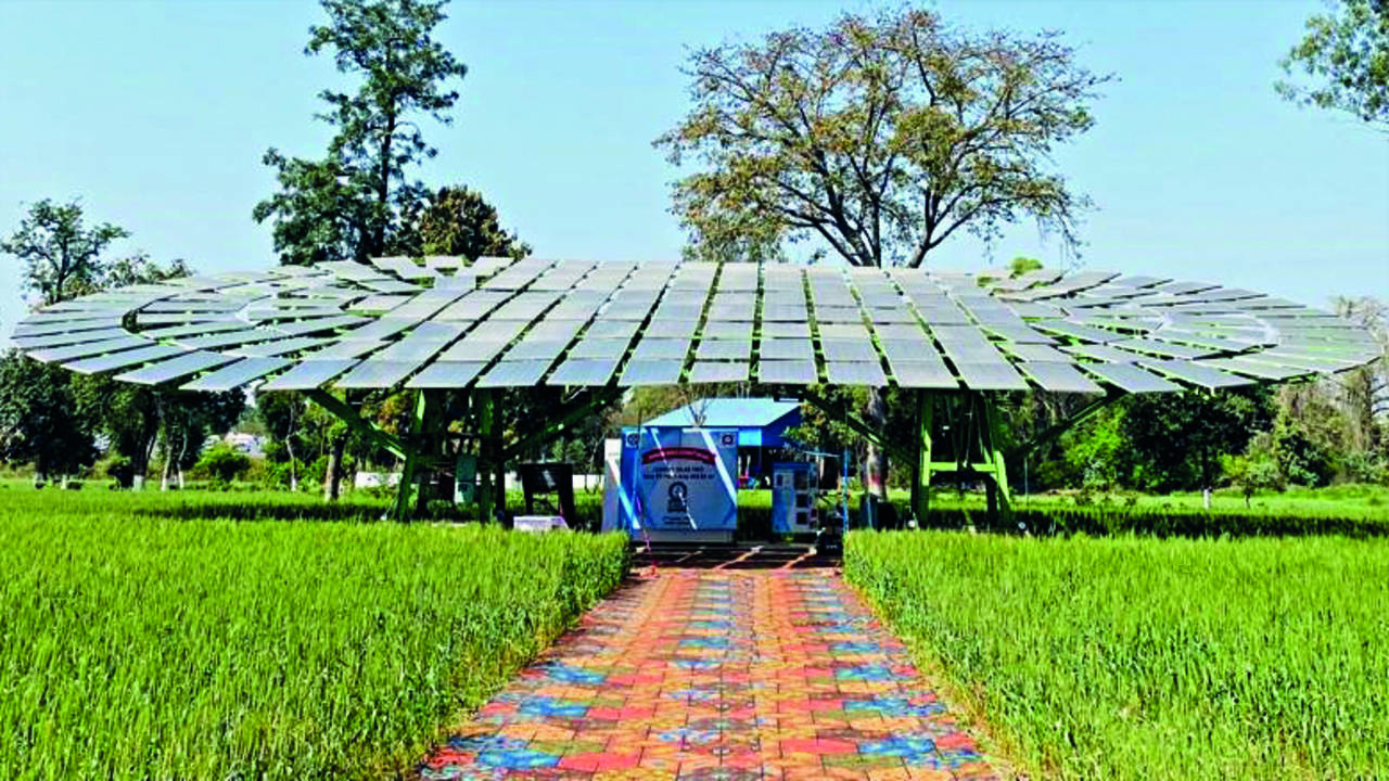 Sunshine Story: 'world's Largest Solar Tree' Takes Root In City | Ludhiana  News - Times of India