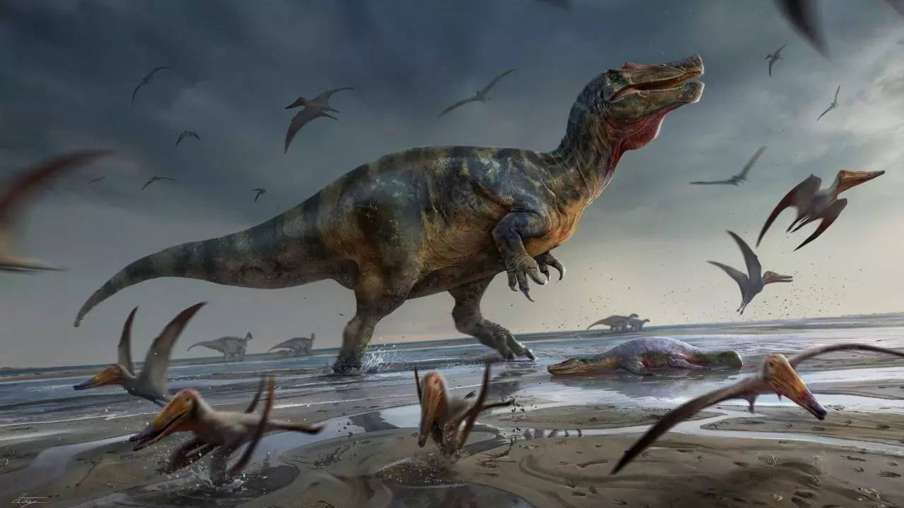 Europe's largest meat-eating dinosaur found on Isle of Wight ...