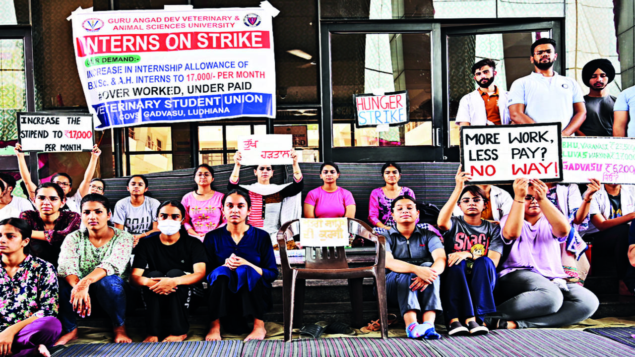 For Hike In Stipend, Gadvasu Students Start Hunger Strike | Ludhiana News -  Times of India