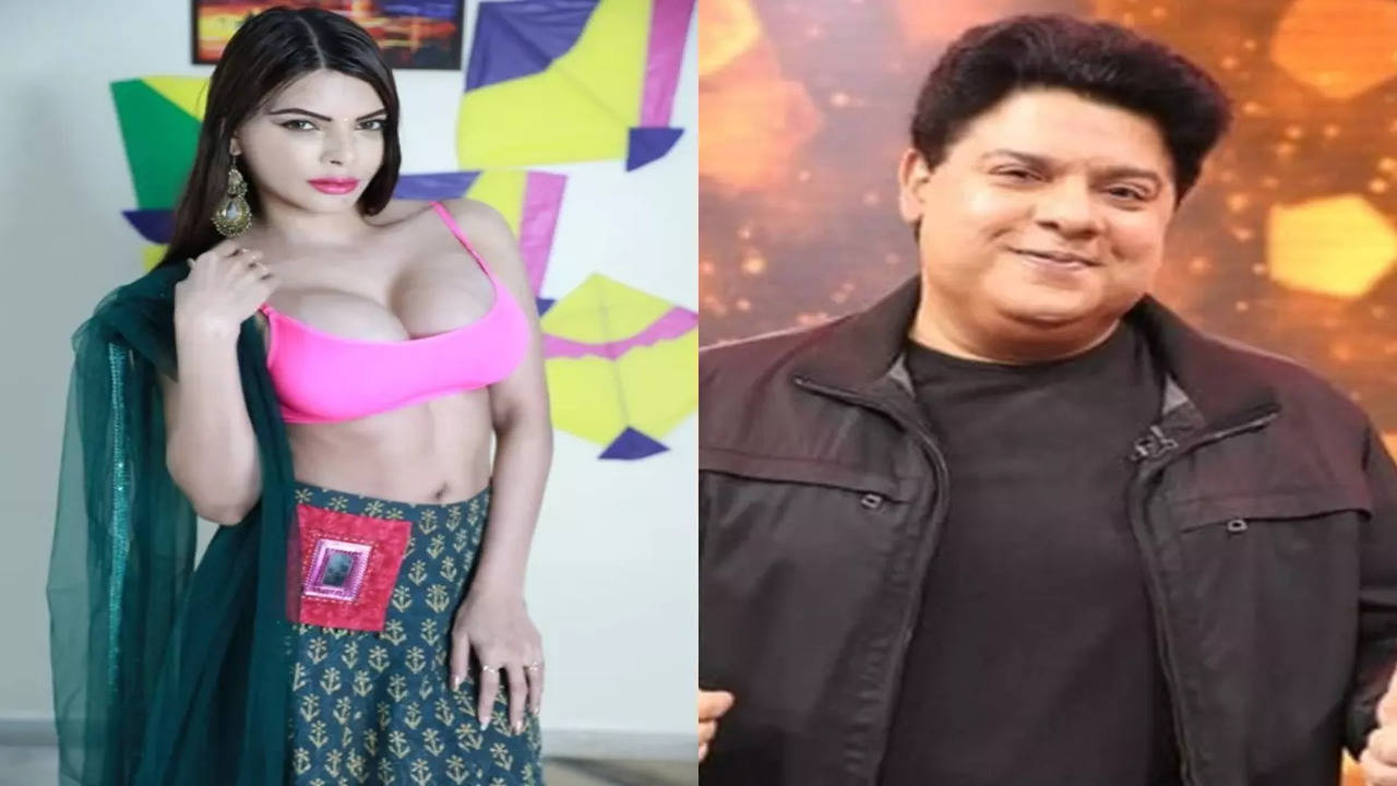 Sherlyn Chopra: Sajid Khan asked me to rate his private parts on a scale of  0 to 10 - Times of India