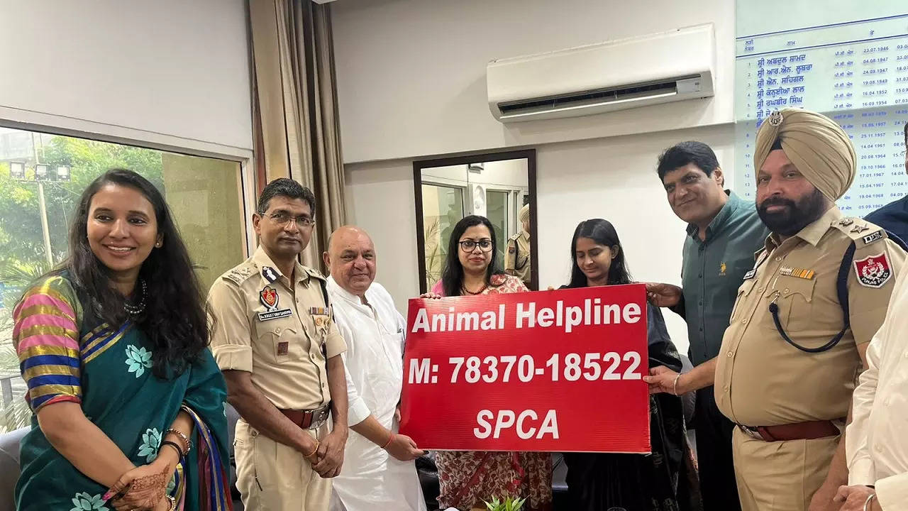 Animal rescue number near 2024 me