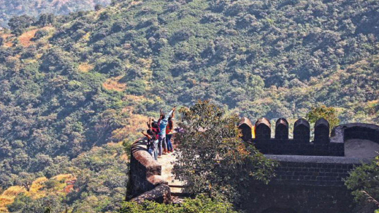 Sinhagad: Maharashtra: No 'tiger' in Sinhagad Fort vicinity, say forest  officials | Pune News - Times of India