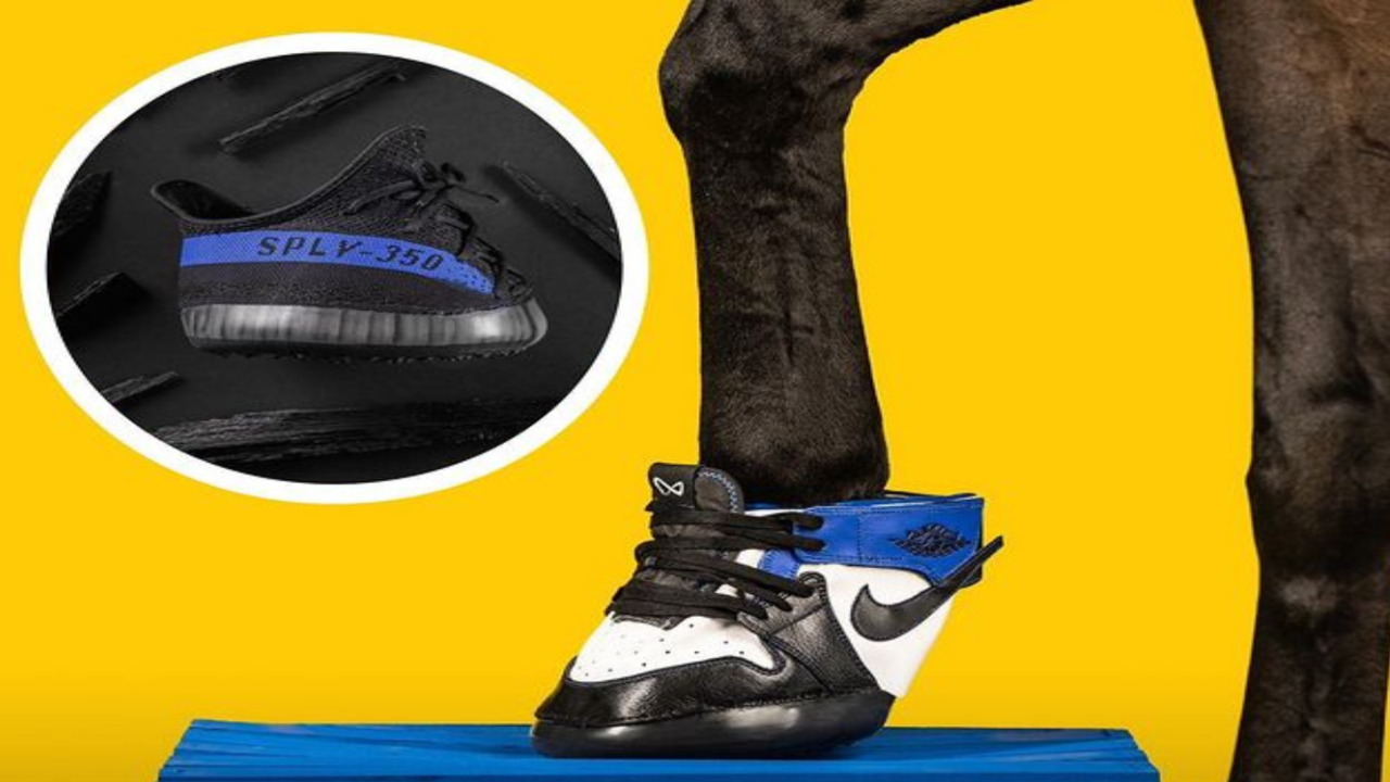 These Sneakers for Horses go for $1,200. Per Shoe - CNET
