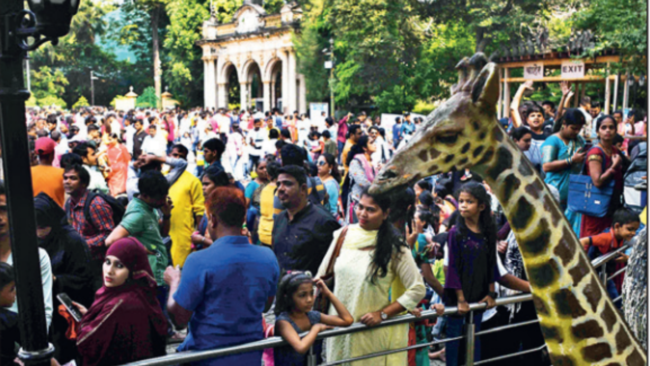 Mumbai's Byculla zoo set to be open from Nov 1; penguins royal Bengal tiger  among new attraction - Science News | The Financial Express