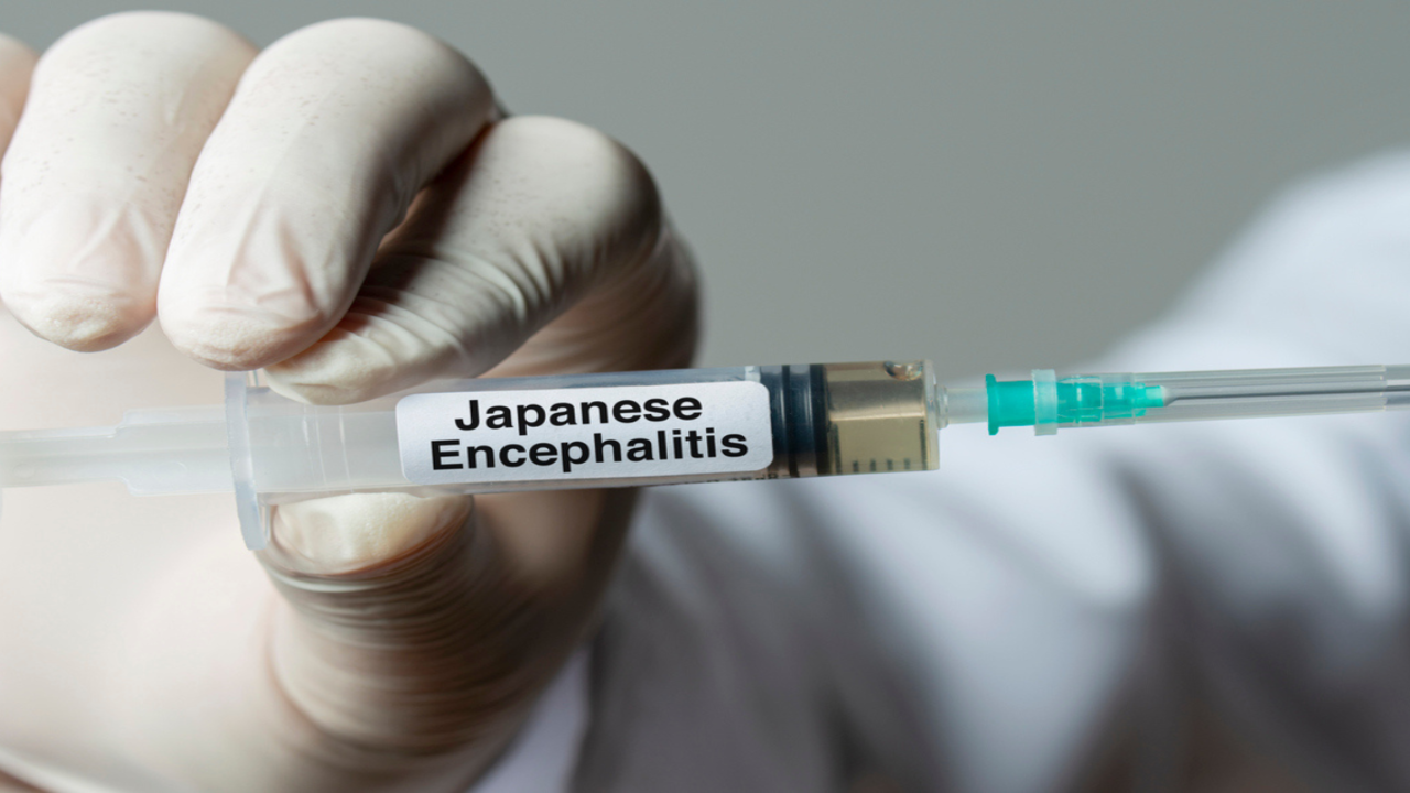 As Japanese encephalitis cases reported in country, key symptoms to know The Times of India pic