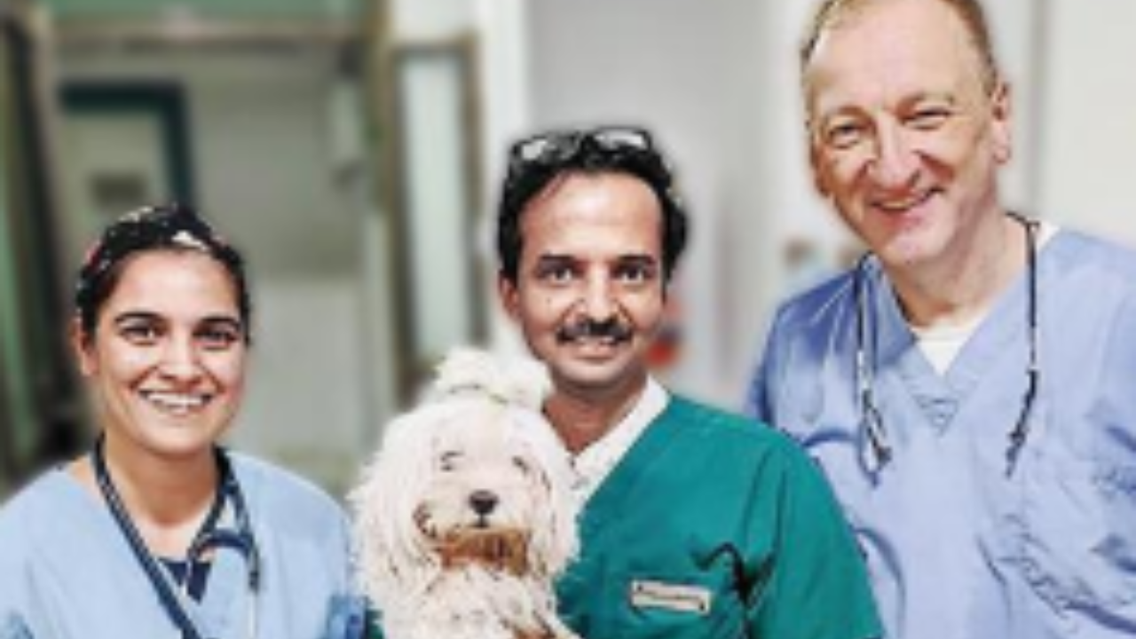 Top dog best sale clinic andheri