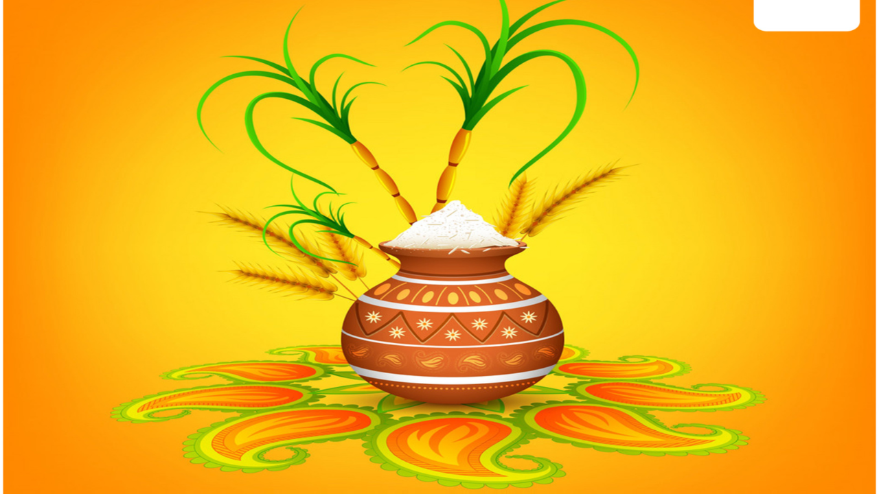 Pongal - Traditional Indian pot with fire and palm tree - CleanPNG / KissPNG