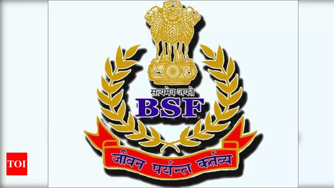 BSF Air Wing and Engineering Recruitment 2024 - Himexam.com