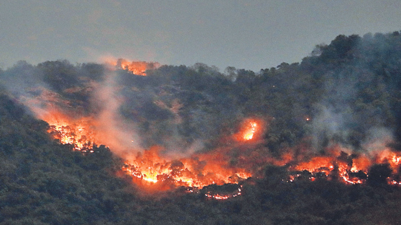 Goa Forest Fire News: Worst fires in Goa's history burn down rare  biodiversity