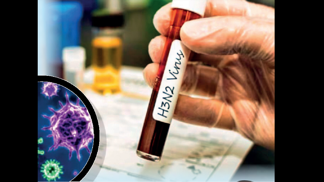 H3N2 संक्रमण का मरीज मिलने के बाद झारखंड में हाई अलर्ट, रिम्स को मिलीं 200 सैंपल कलेक्शन जांच किट Jharkhand on high alert after H3N2 infection patient, RIMS gets 200 sample collection test kits