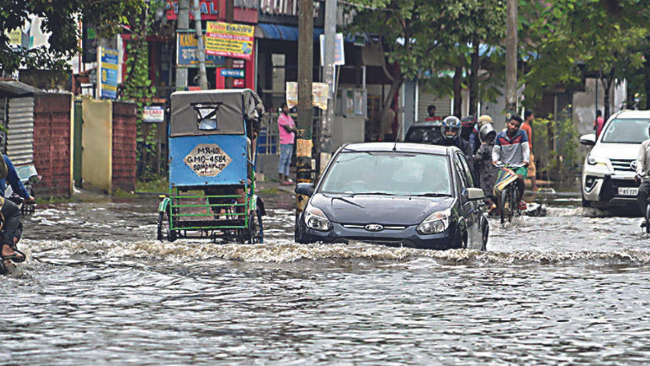 Conservationists Express Concern Over Deforestation, Floods | Guwahati News  - Times of India