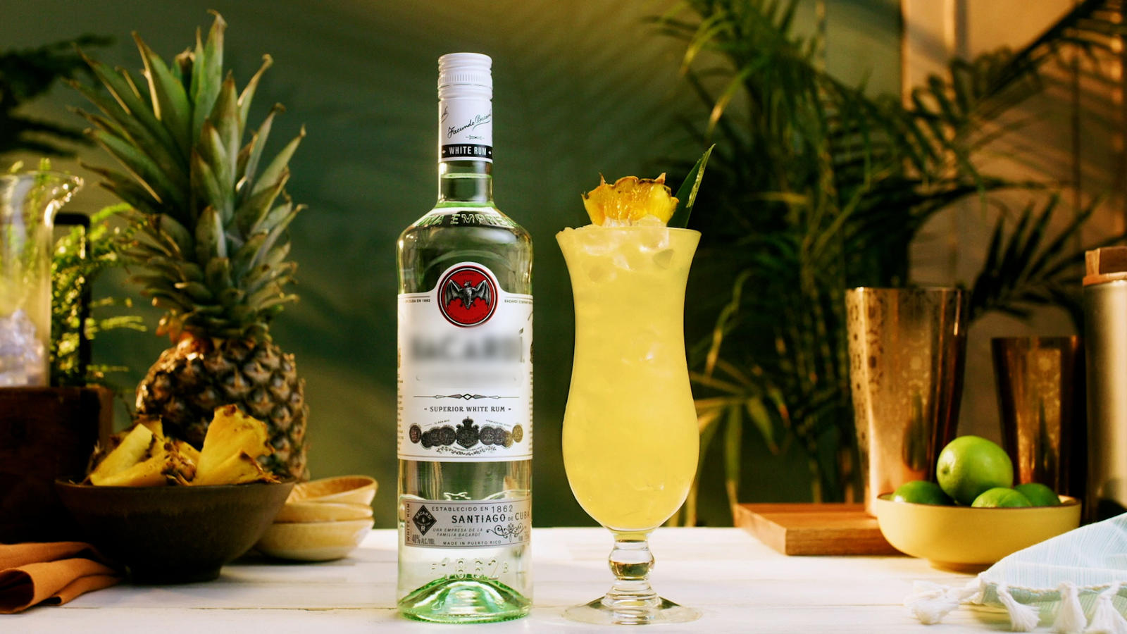 CSRWire - Bacardi Limited Paves the Way For A Good Spirited Future
