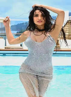 Malaika Arora raises temperatures in grey monokini and shimmery sheer slip