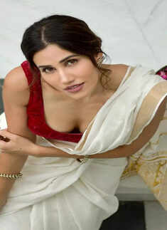 ​Sonnalli Seygall serves major ethnic vibes in saree​