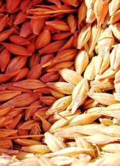 ​Top 10 nutritious foods for a healthy you​