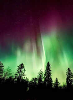 Northern lights put on a spectacular show in Vancouver's night sky