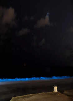 These incredible pictures show the ethereal bioluminescent sea sparkle