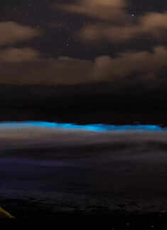 Ocean is glowing 
