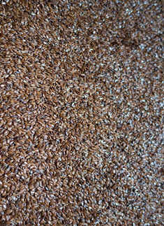 Versatile and easy to use