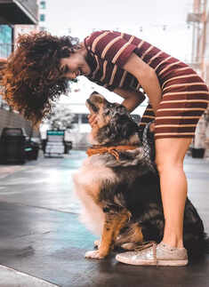 ​International Dog Day: 10 most loyal dog breeds that will always stick by your side!​