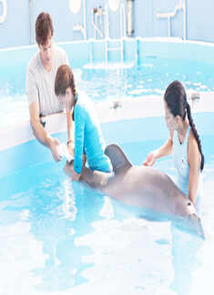 Dolphin Tale