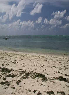 Lakshadweep Islands: These serene beach pictures will make you pack your bags right away 