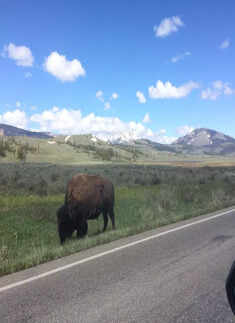 Breathtaking pictures of Yellowstone National Park in the US