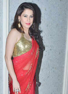 Pitbull post-concert bash