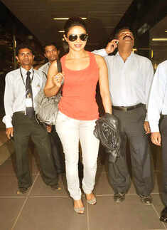 Piggy spotted at airport