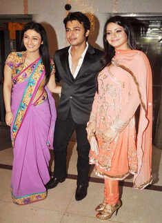 Gaurav Seth-Diya's wedding party