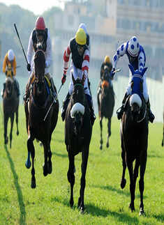 Stayers' Cup @ Turf Club