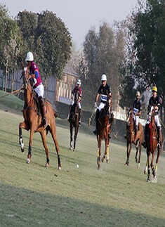 'Ambassadors Cup' polo tournament