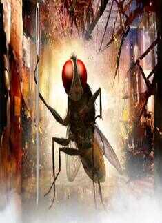 'Eega'