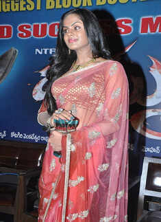 Sucess meet: 'Dammu'