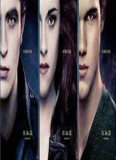 'The Twilight Saga: Breaking Dawn - Part 2'