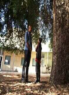 'Battlefield America '