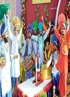 Celebrating diversity